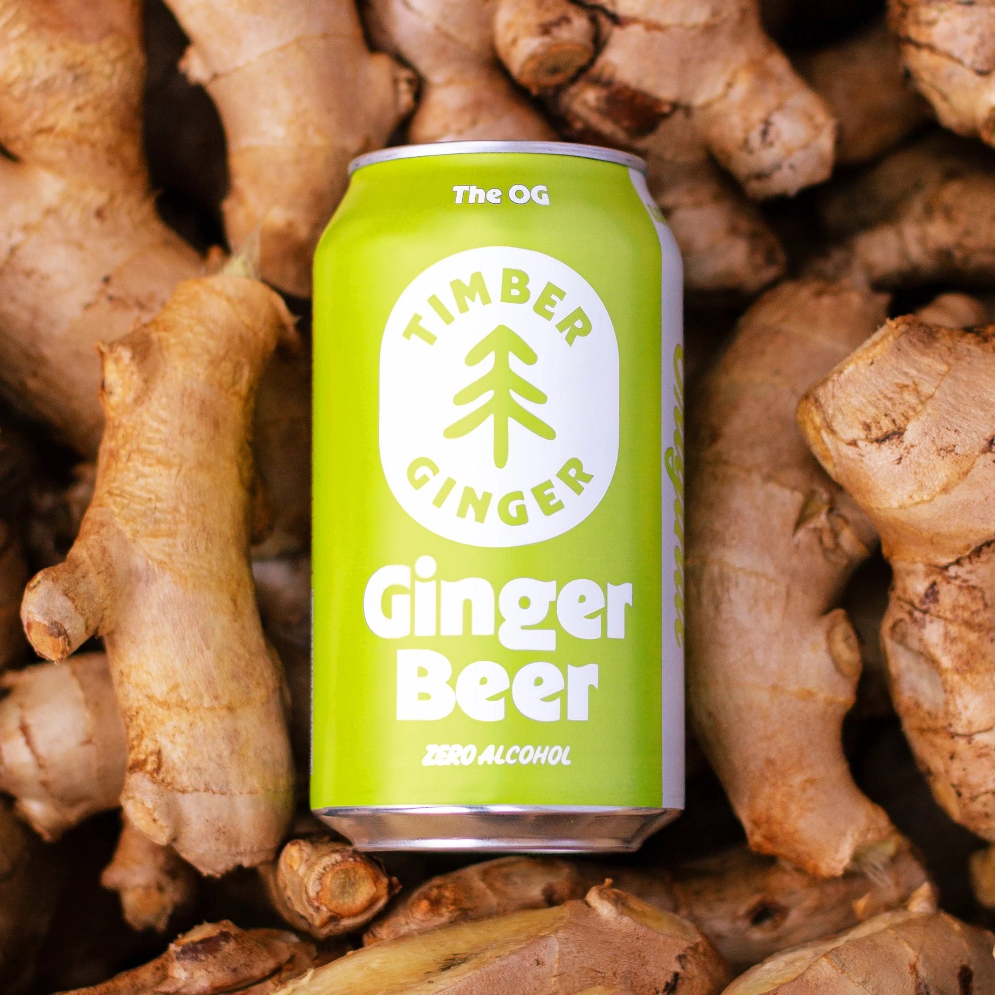Timber Ginger Beer (12oz)